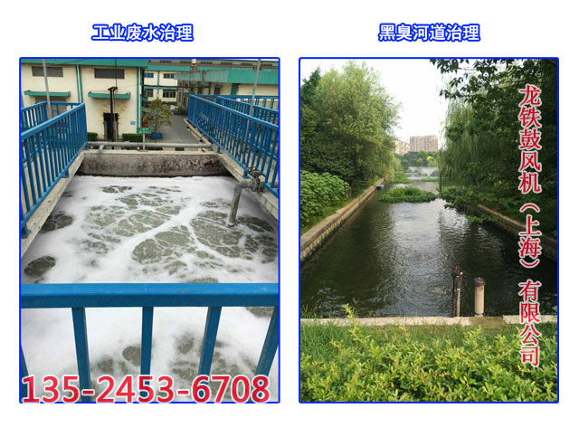 污水處理鼓風機實用案例